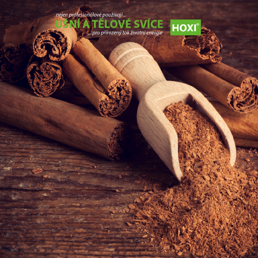 Skořice – esenciální olej (Cinnamomum)